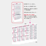 IC301