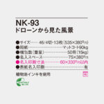 NK93