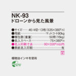 NK93