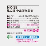 NK38