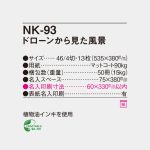 NK93
