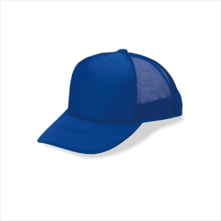 CAP001