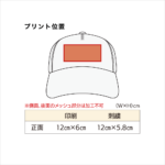 CAP003