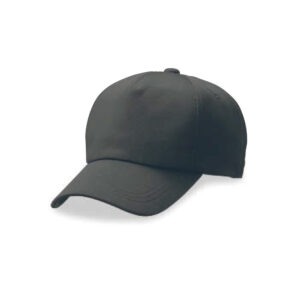 CAP008