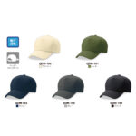 CAP008